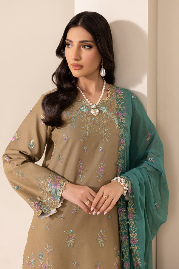 D# - 03 | Embroidered Chiffon Dopatta By Rajbari