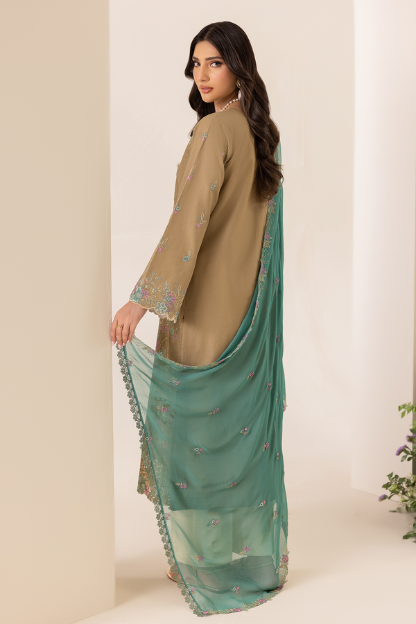 D# - 03 | Embroidered Chiffon Dopatta By Rajbari