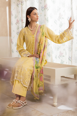 D# - 03 | Nissa Chikankari Exclusive By Rajbari