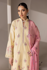 D# - 09 | Embroidered Chiffon Dopatta By Rajbari