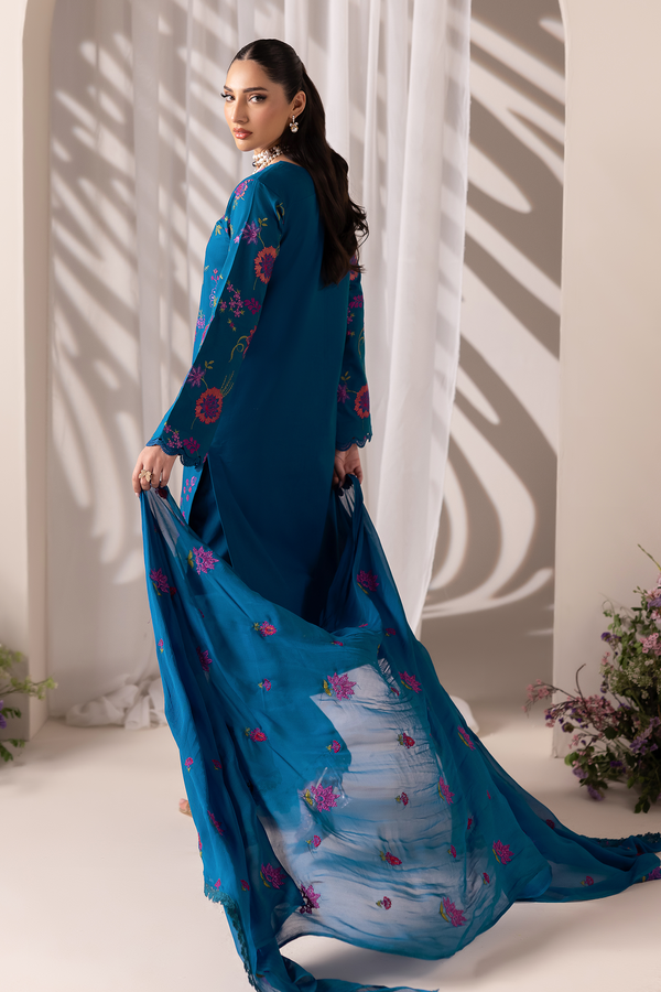 D# - 11 | Embroidered Chiffon Dopatta By Rajbari