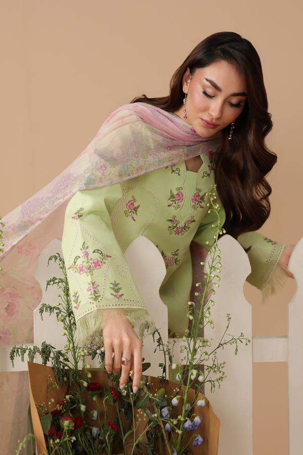 D# 11 | Jahaan Unstitched Collection By Rajbari