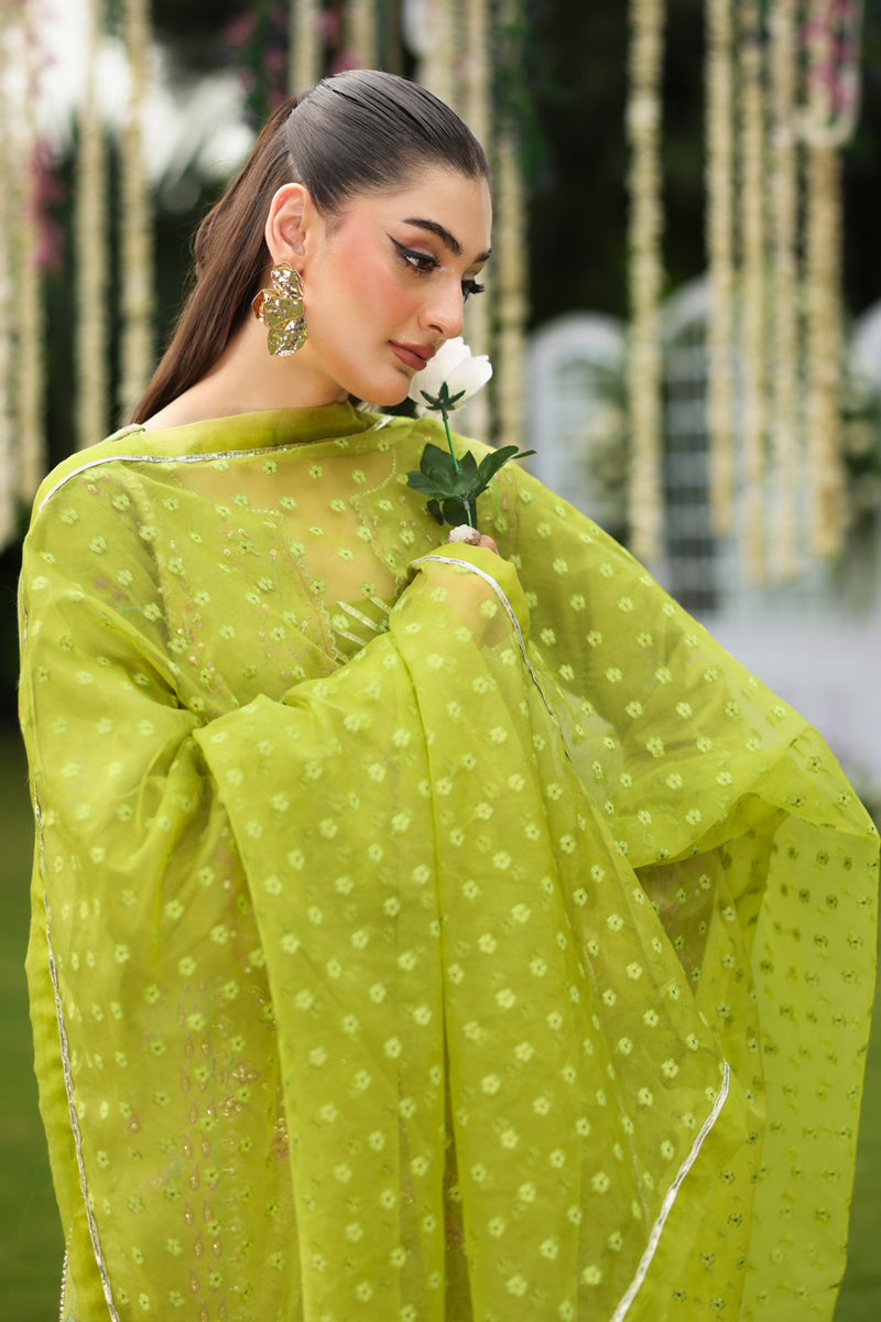 Radin | Luxe Silk Unstitched 3PC By Rangrasiya