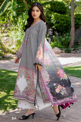 D# - 22 | C-Print Printed Lawn C-Print Vol 3 By Charizma