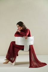Laal Crimson Shirt Set | Raw Silk Edit'26 By Vera