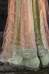Amil - Wedding Formals | Mery Yar Ki Shadi He By Rangrasiya - Rabbani Cloth House
