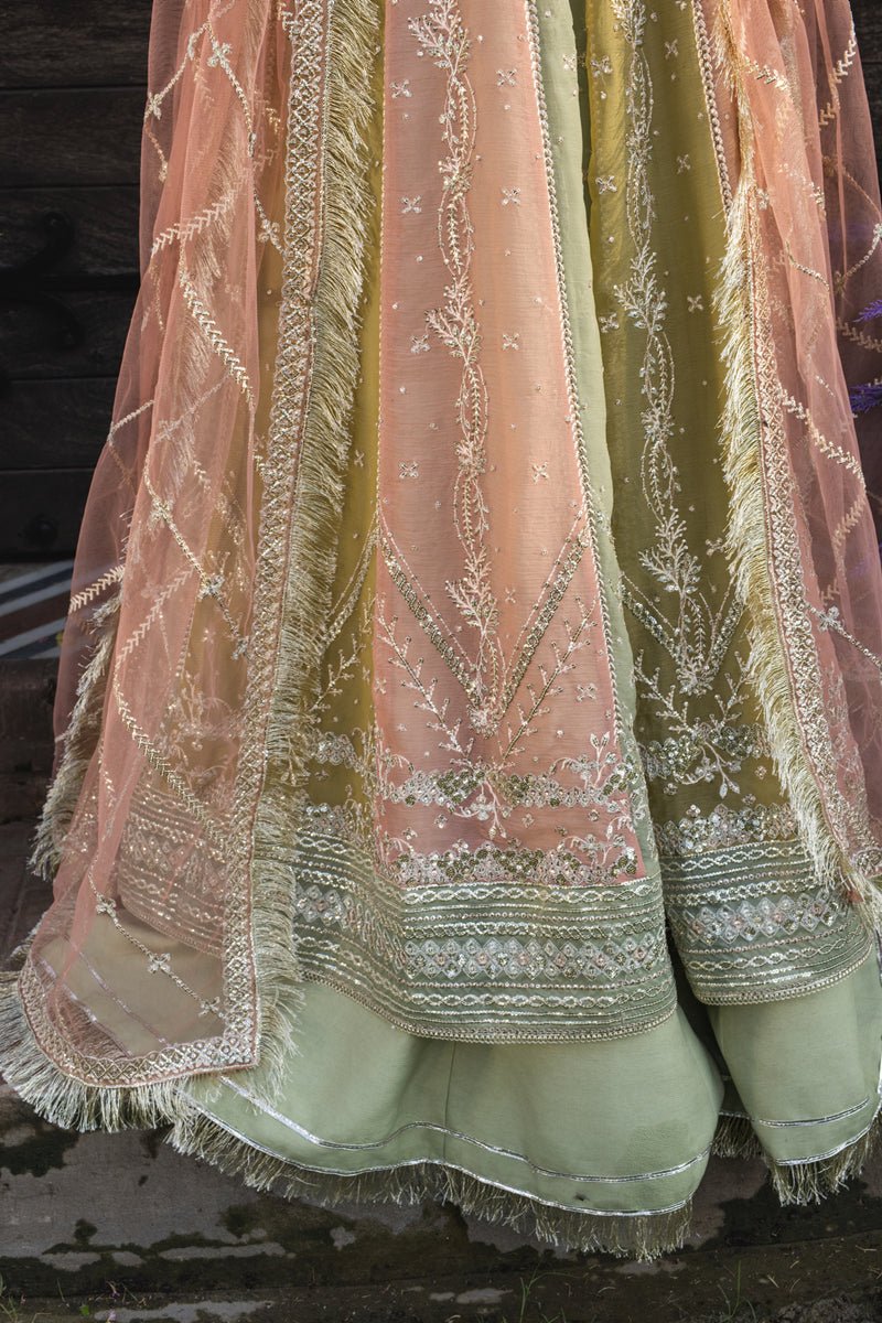 Amil - Wedding Formals | Mery Yar Ki Shadi He By Rangrasiya - Rabbani Cloth House
