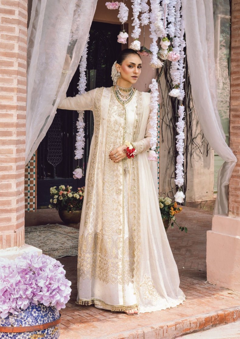 Neha - Wedding Formals | Mery Yar Ki Shadi He By Rangrasiya - Rabbani Cloth House