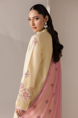D# - 09 | Embroidered Chiffon Dopatta By Rajbari