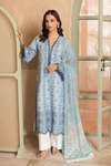 D# - 12 | Nissa Chikankari Exclusive By Rajbari