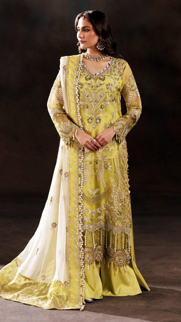 ZN-03 - Volume 22 - Zeenat Collection By Zebtan