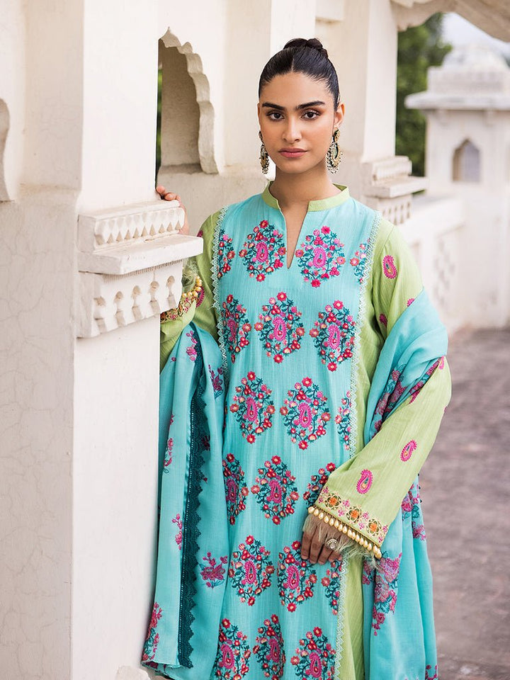 3B - | Winter Collection | Premium Khaddar By Rajbari - Rabbani Cloth House