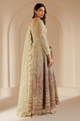 WF-01 | Embroidered Chiffon By Jazmin