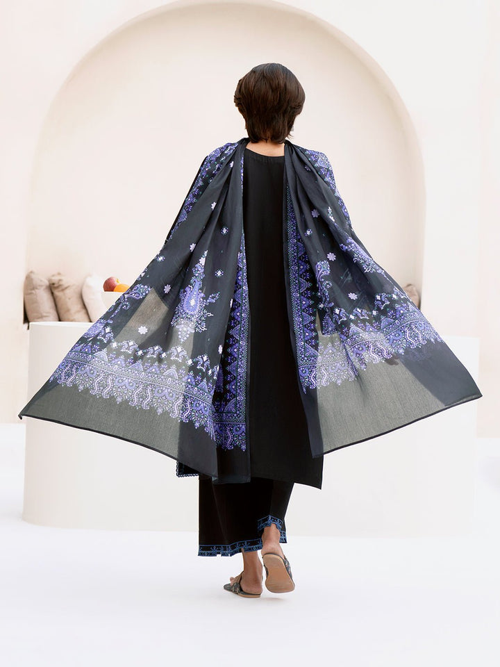 87 - A | Silk Dupatta | Aina Summer Edit '25 By Bin Ilyas - Rabbani Cloth House