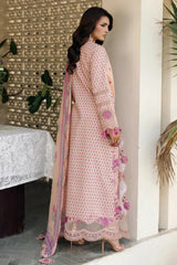 Csn6-12 | Sunshine Lawn Collection Vol 2 By Charizma