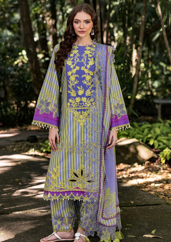 CN5-02 - Vol 01 – Naranji Embroidered By Charizma