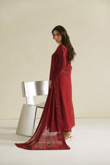 Laal Crimson Shirt Set | Raw Silk Edit'26 By Vera