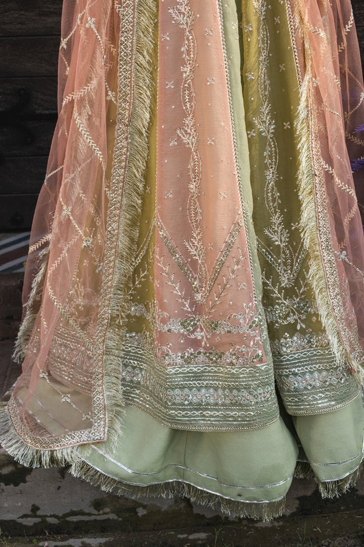 Amil - Wedding Formals | Mery Yar Ki Shadi He By Rangrasiya - Rabbani Cloth House