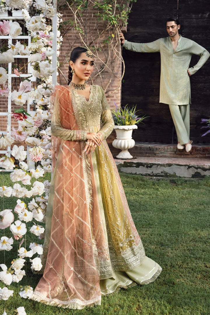 Amil - Wedding Formals | Mery Yar Ki Shadi He By Rangrasiya - Rabbani Cloth House