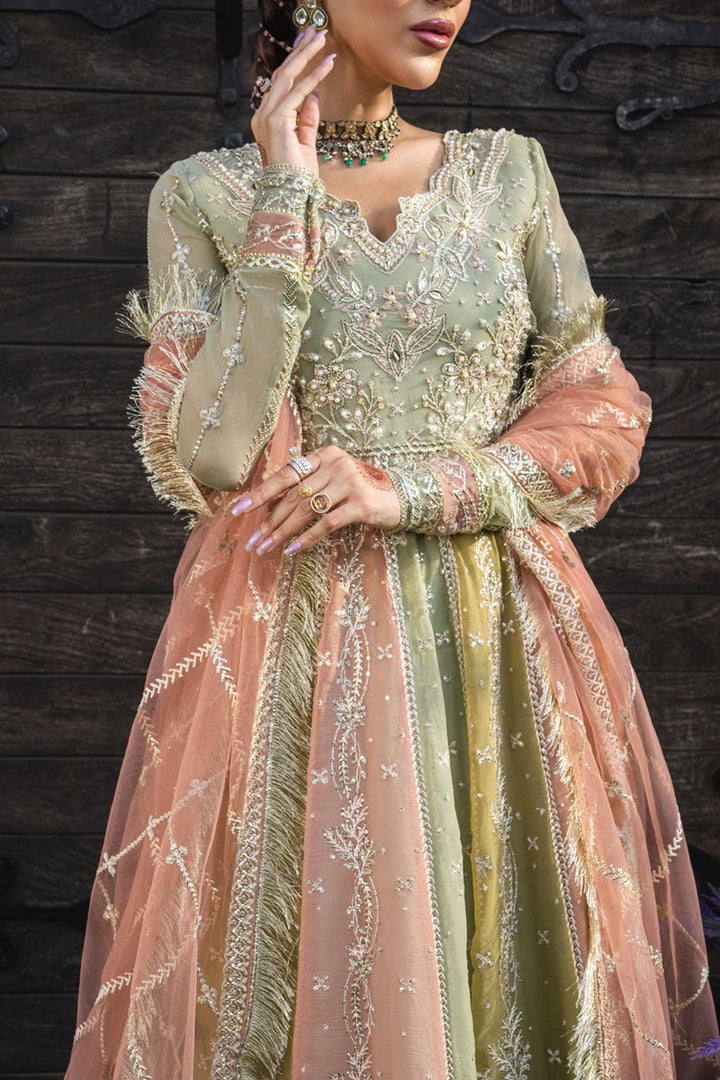 Amil - Wedding Formals | Mery Yar Ki Shadi He By Rangrasiya - Rabbani Cloth House