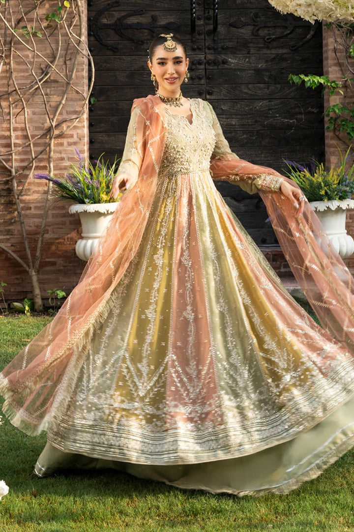 Amil - Wedding Formals | Mery Yar Ki Shadi He By Rangrasiya - Rabbani Cloth House