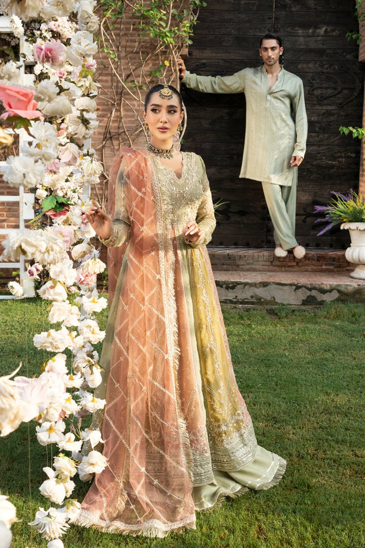 Amil - Wedding Formals | Mery Yar Ki Shadi He By Rangrasiya - Rabbani Cloth House