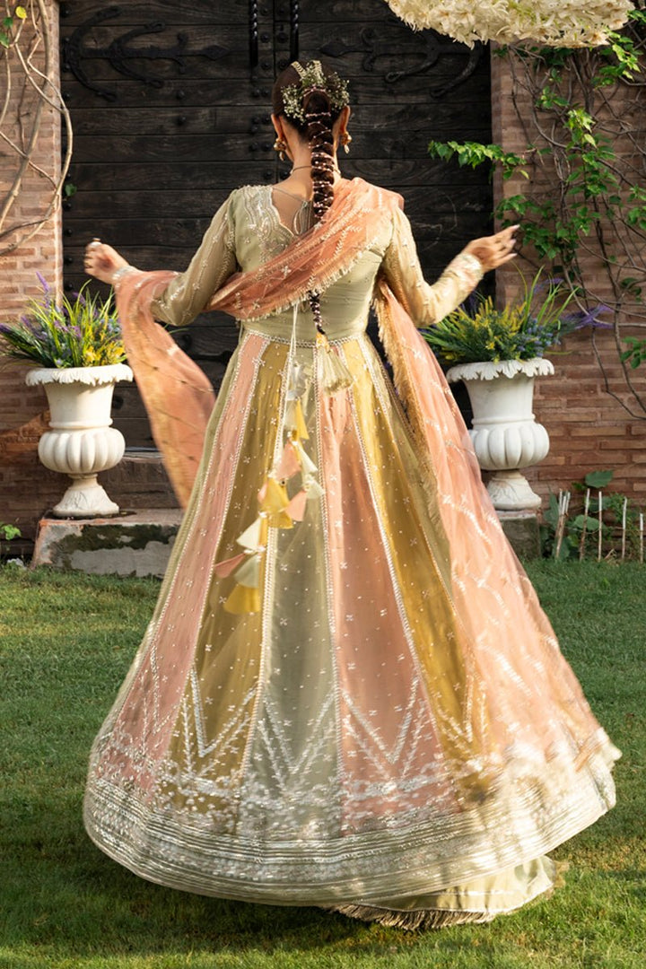 Amil - Wedding Formals | Mery Yar Ki Shadi He By Rangrasiya - Rabbani Cloth House