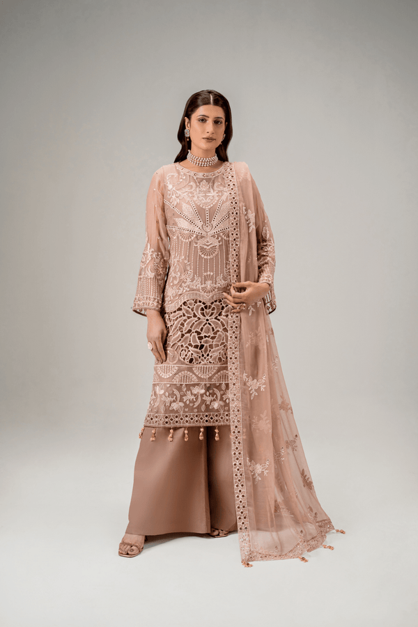 AR - 06 - Chiffon Fabric - Aura Unstitched By Zebtan - Rabbani Cloth House