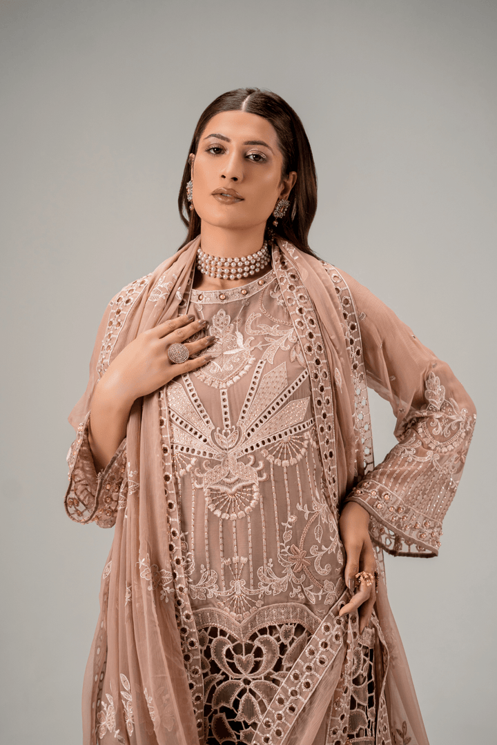 AR - 06 - Chiffon Fabric - Aura Unstitched By Zebtan - Rabbani Cloth House