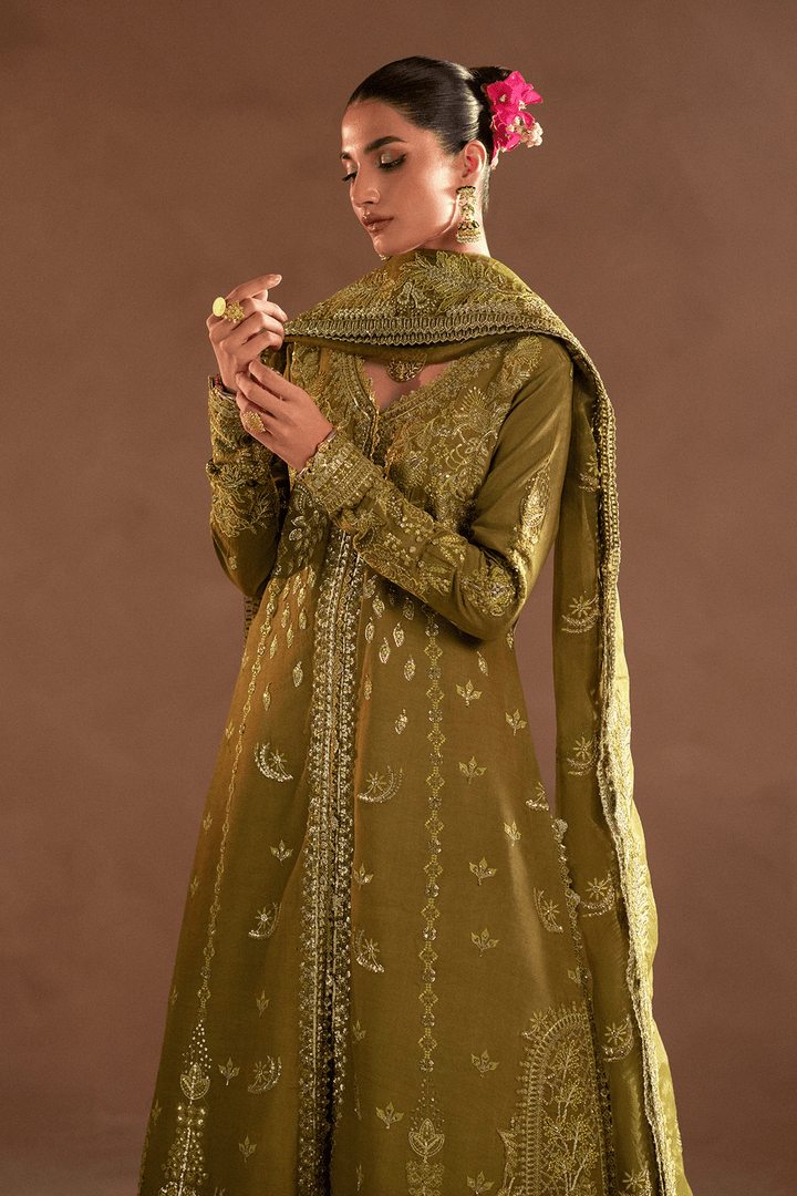 Aurelia - Selene Unstitched Raw Silk By Emaan Adeel - Rabbani Cloth House