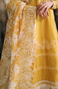 Azal | RW - 06 | Raw Silk Unstitched By Zarif - Rabbani Cloth House