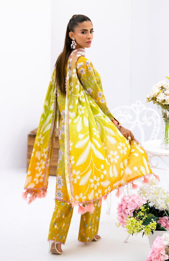 D - 10 - Unstitched Prints Volume By Al - Zohaib - Rabbani Cloth House