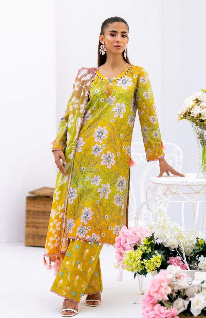 D - 10 - Unstitched Prints Volume By Al - Zohaib - Rabbani Cloth House