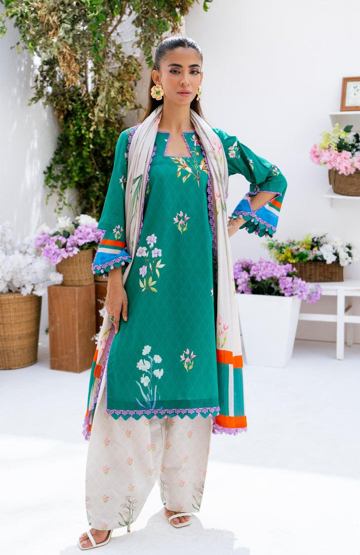 D - 12 - Unstitched Prints Volume By Al - Zohaib - Rabbani Cloth House