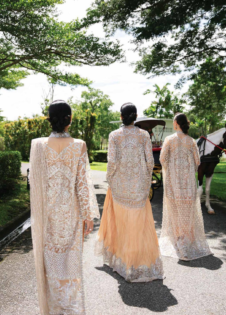 D01 - Mushq Serendipity Trousseau De Luxe Collection By Mushq - Rabbani Cloth House