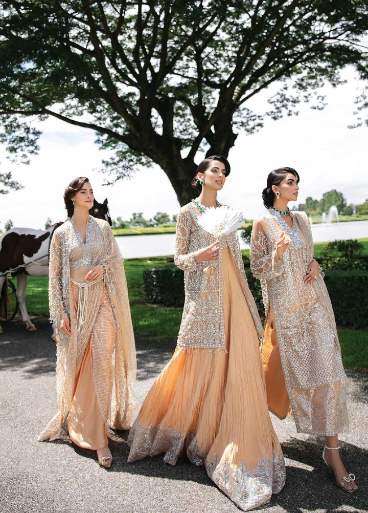 D01 - Mushq Serendipity Trousseau De Luxe Collection By Mushq - Rabbani Cloth House