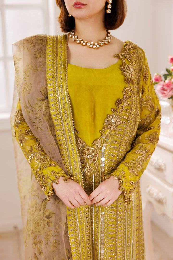 DJ5 - 04 - Dastaan e Jashan Premium Chiffon By Charizma - Rabbani Cloth House