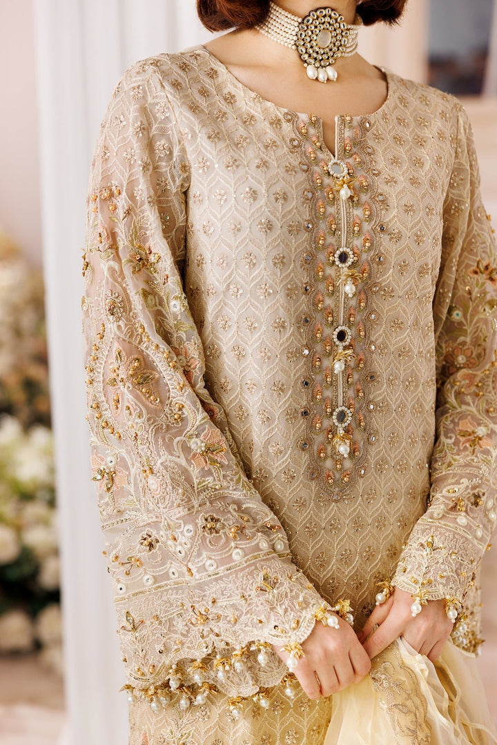 DJ5 - 06 - Dastaan e Jashan Premium Chiffon By Charizma - Rabbani Cloth House
