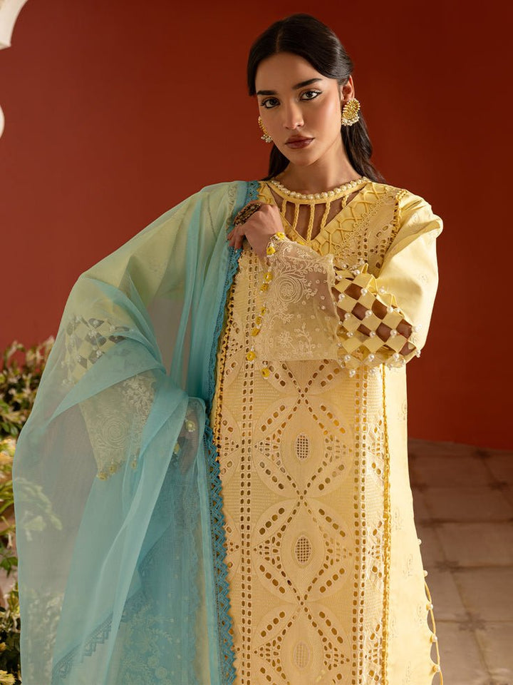 DSC - 11 | Embroidered Lawn | Dastaan E Noor By Prishay - Rabbani Cloth House