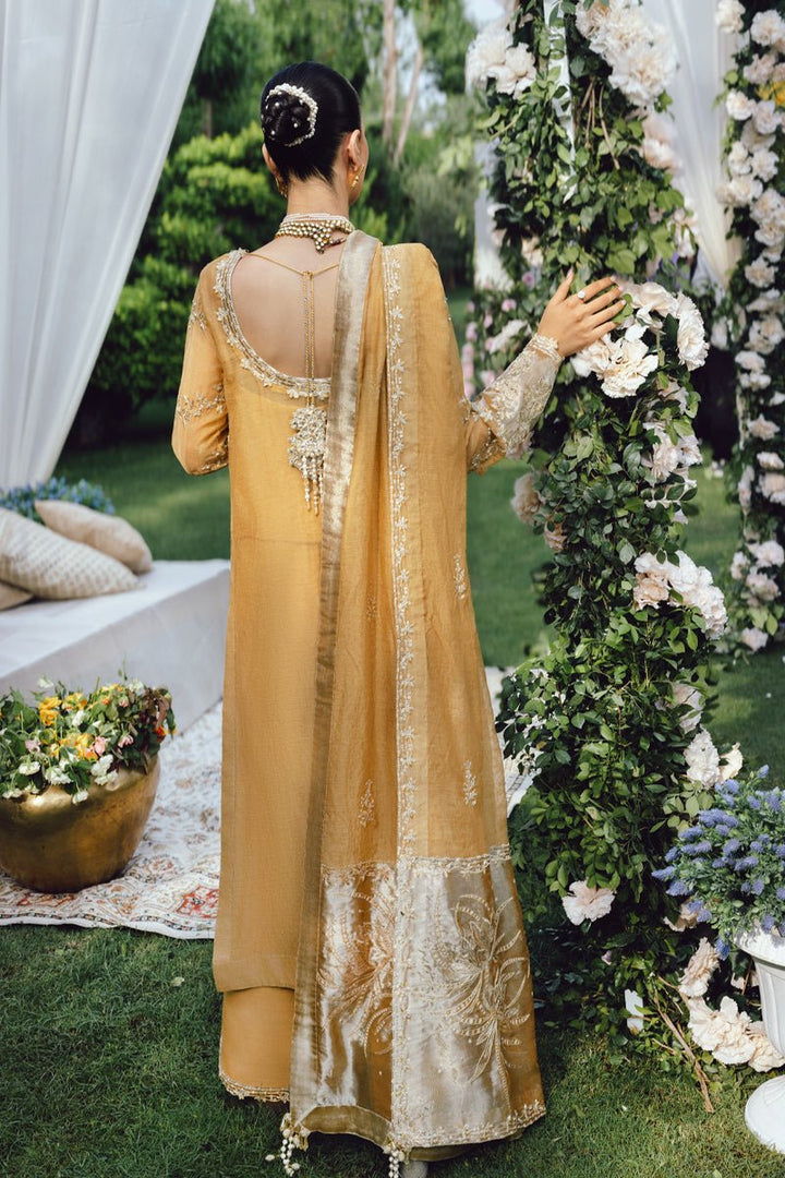 Misha - Wedding Formals | Mery Yar Ki Shadi He By Rangrasiya - Rabbani Cloth House