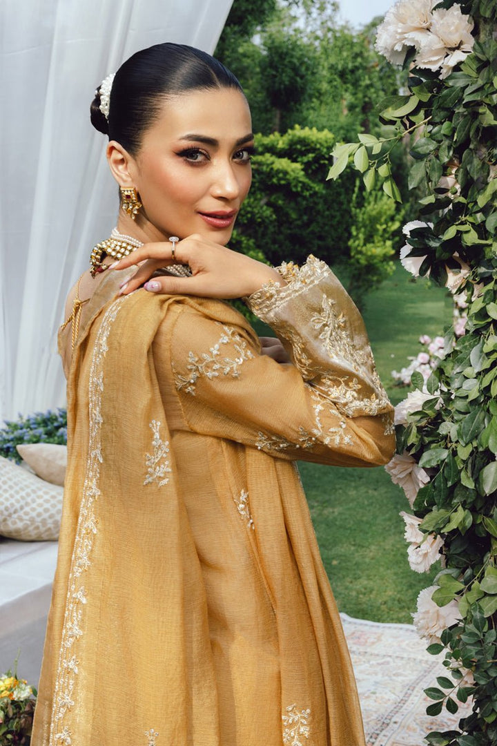 Misha - Wedding Formals | Mery Yar Ki Shadi He By Rangrasiya - Rabbani Cloth House
