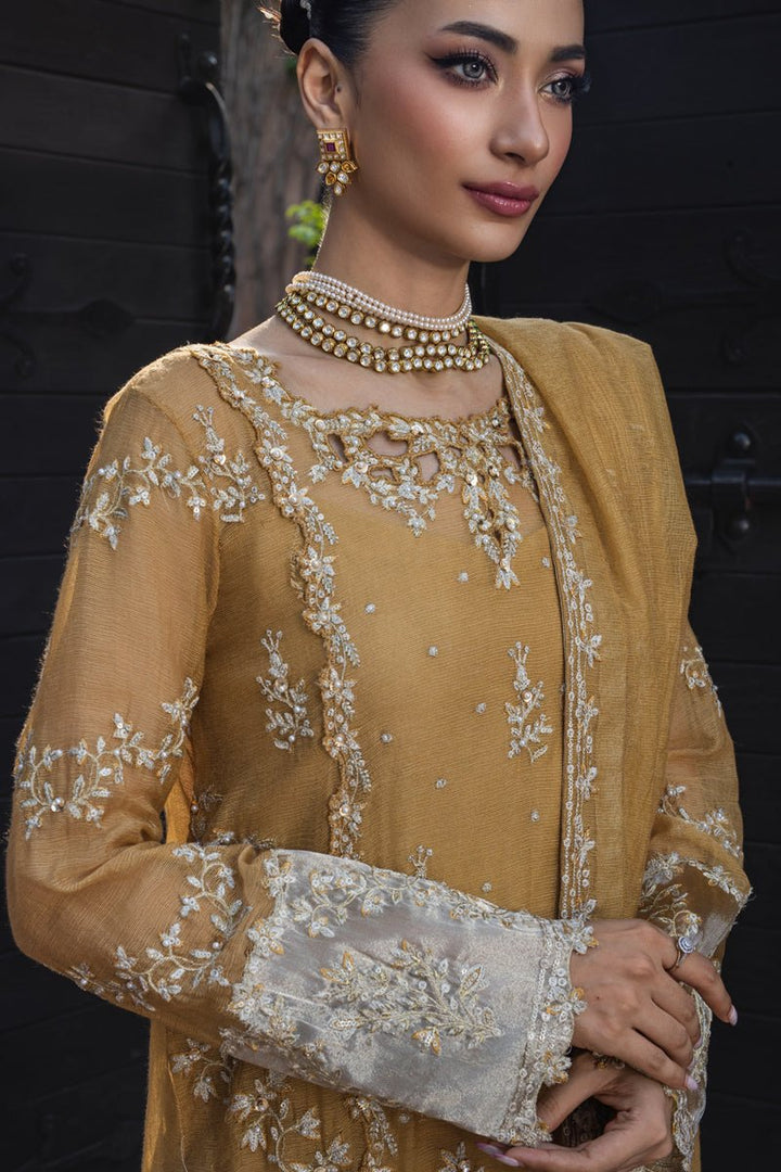 Misha - Wedding Formals | Mery Yar Ki Shadi He By Rangrasiya - Rabbani Cloth House