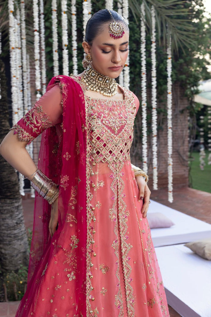 Narmeen - Wedding Formals | Mery Yar Ki Shadi He By Rangrasiya - Rabbani Cloth House