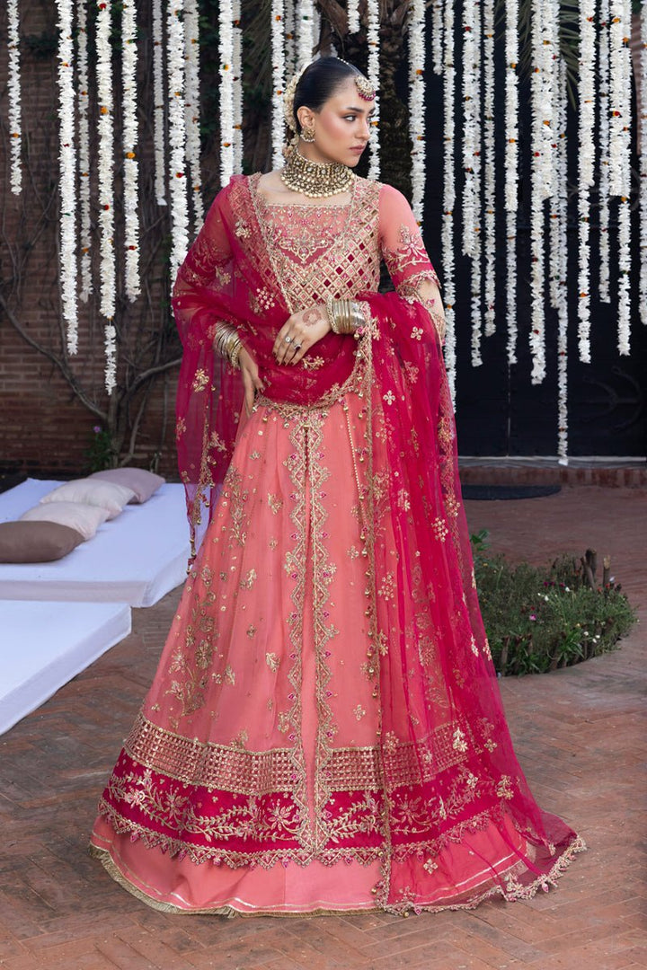 Narmeen - Wedding Formals | Mery Yar Ki Shadi He By Rangrasiya - Rabbani Cloth House