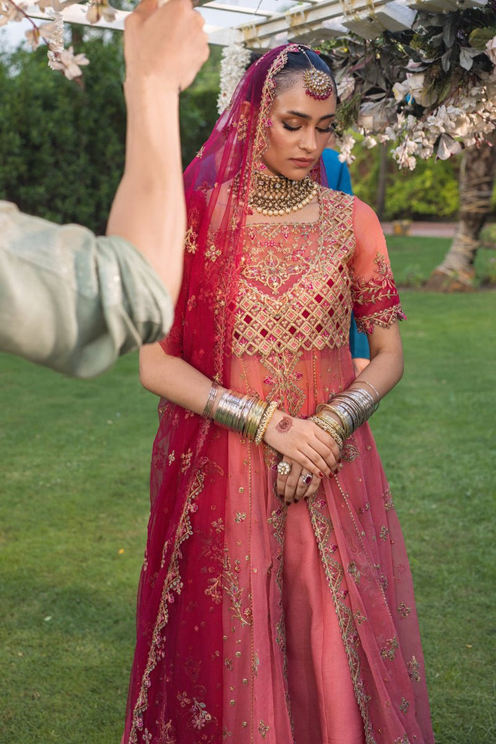 Narmeen - Wedding Formals | Mery Yar Ki Shadi He By Rangrasiya - Rabbani Cloth House