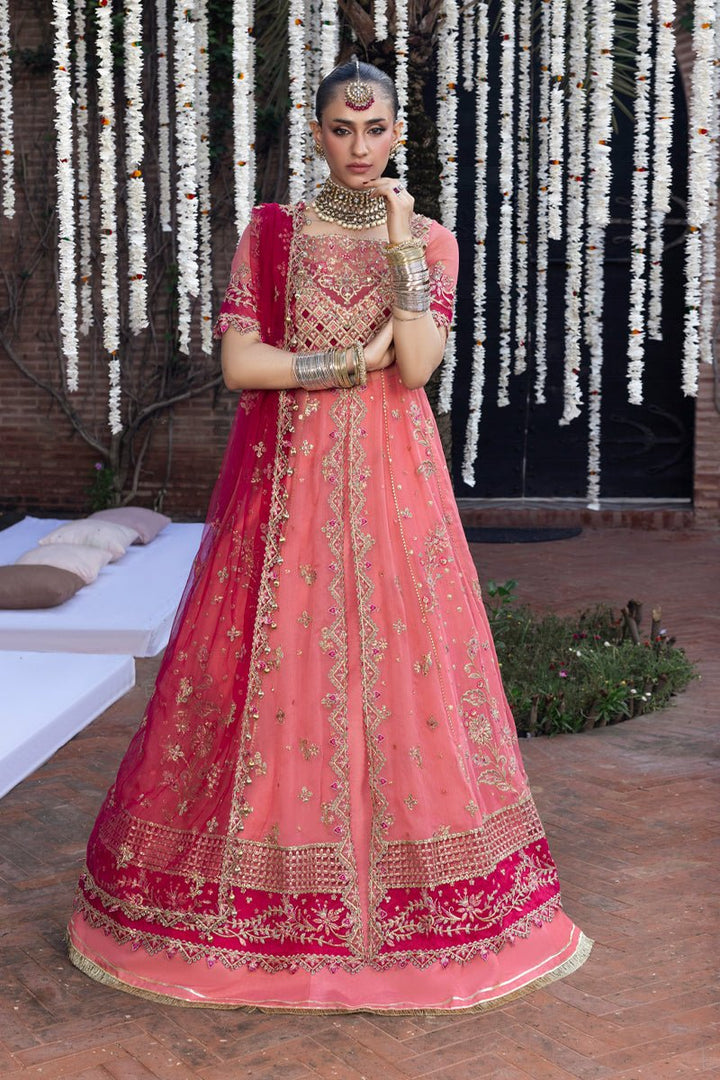 Narmeen - Wedding Formals | Mery Yar Ki Shadi He By Rangrasiya - Rabbani Cloth House