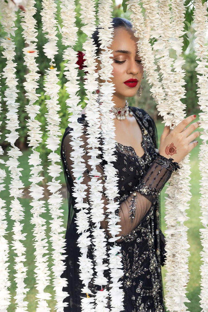 Natasha - Wedding Formals | Mery Yar Ki Shadi He By Rangrasiya - Rabbani Cloth House