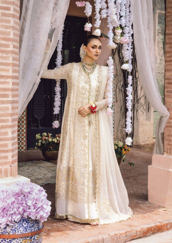 Neha - Wedding Formals | Mery Yar Ki Shadi He By Rangrasiya - Rabbani Cloth House