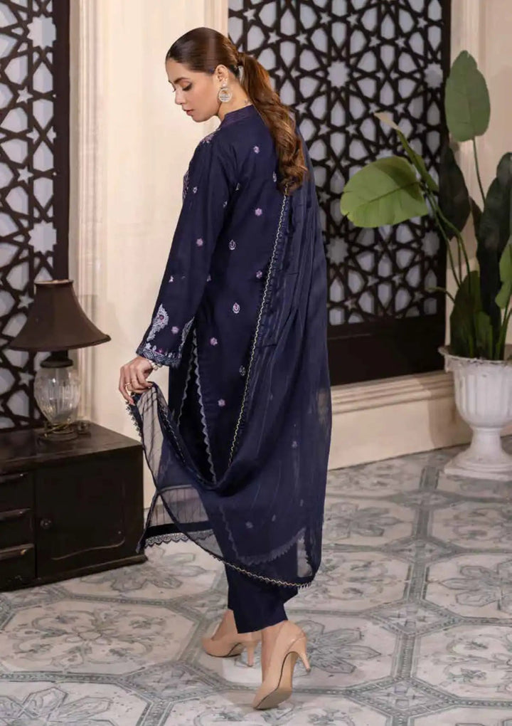 RJ - 07 - Dhoop Kinary Festive Edition By Rajis - Rabbani Cloth House
