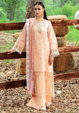 RL06 - Sophie | Winter | Hazel By Mahnur - Rabbani Cloth House